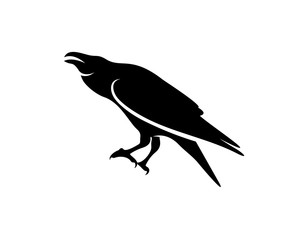 Raven bird logo vector template, Black silhouette of a crow on an isolated background