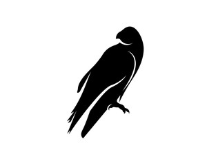 Raven bird logo vector template, Black silhouette of a crow on an isolated background
