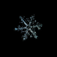 Snowflake isolated on black background: real snowflake macro photo.