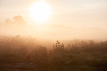 Fototapeta na wymiar misty morning sunrise over the lake