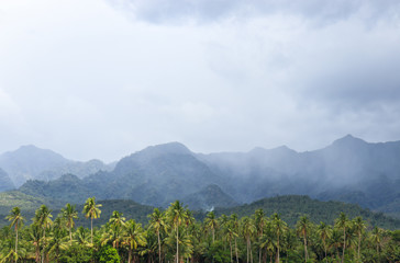 View of Coconut Trees and Mountains in Baybay City, Leyte, Philippines