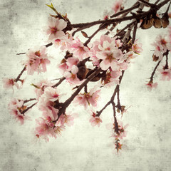  old paper background