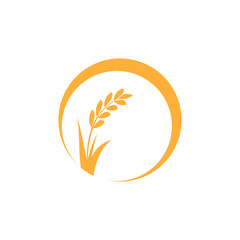 Wheat or barley ears. Harvest wheat grain, growth rice stalk and whole bread grains or field cereal nutritious rye grained agriculture products ear symbol.