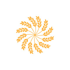 Obraz premium Wheat or barley ears. Harvest wheat grain, growth rice stalk and whole bread grains or field cereal nutritious rye grained agriculture products ear symbol.