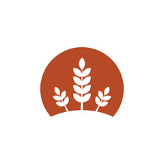 Wheat or barley ears. Harvest wheat grain, growth rice stalk and whole bread grains or field cereal nutritious rye grained agriculture products ear symbol.