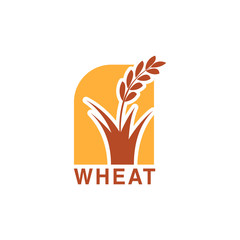 Wheat or barley ears. Harvest wheat grain, growth rice stalk and whole bread grains or field cereal nutritious rye grained agriculture products ear symbol.