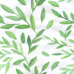 Watercolor seamless pattern with green leaves on a white background. Design for wallpaper, fabric, textile, wedding design, packaging,cards,website. Botanical hand made  illustration.
