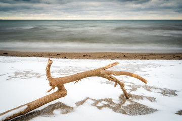 Fototapeta na wymiar Driftwood at the beach