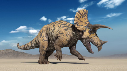 Triceratops, dinosaur reptile stomping, prehistoric Jurassic animal in deserted nature environment, 3D illustration © freestyle_images