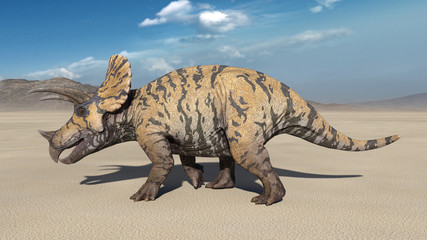 Triceratops, dinosaur reptile walking, prehistoric Jurassic animal in deserted nature environment, 3D illustration © freestyle_images