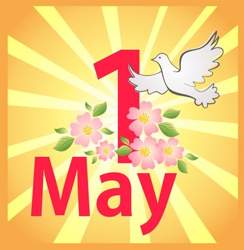1 May International Labor Day. Greeting card with dove, apple-tree blossoming and sun rays for celebration Mayday, Spring and Labour