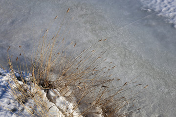 Small frozen river with snowy ground and brown herbaceous perennial plants. Photographed from a high angle view in Finland during a sunny winter day. Closeup color image.