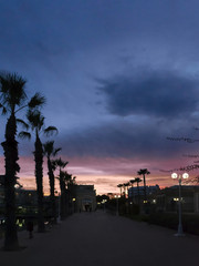 Sunset ride in Alicante © JavierMondejar