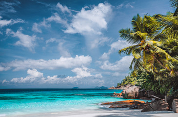 Fototapeta na wymiar Perfect tropical tranquil beach. Pristine crystal clear ocean water with blue sky and white clouds. Summer time vacation and lifestyle