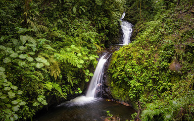 The Monteverde Cloud Forest Reserve (Reserva Biológica Bosque Nuboso Monteverde) is a Costa Rican reserve. This beautiful waterfall is located in the Monteverde Reserve.