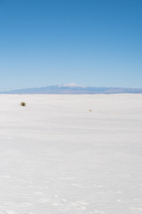 A snow capped mountain peak in the background of White Sands in New Mexico. 