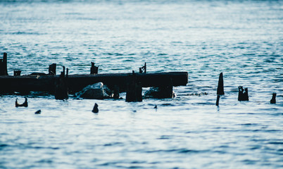 the remains of a sunken ship on the shore