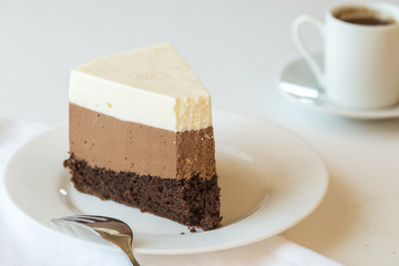 A piece of a mousse cake 