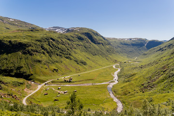 MYRKDALEN, NORWAY - 2018 JULY 02. Myrkdalen valley with green grass and old farm houses between the road and the river.