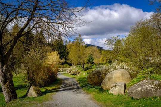 Fr&uuml;hling im Kurpark von Schierke