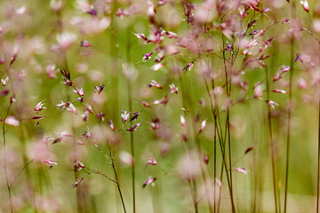  Spring awakening