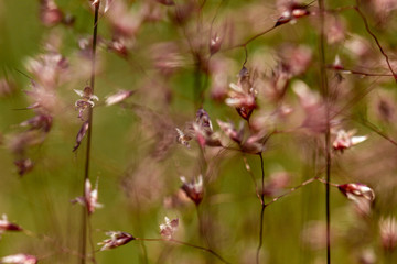 
Spring time