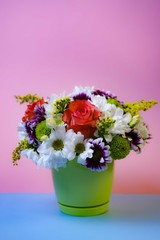 Flowers on blue and pink background