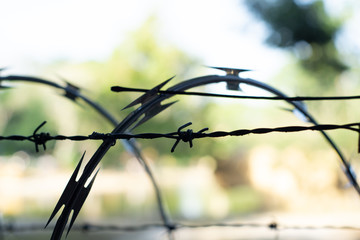 Security barbed wire