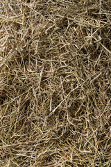 texture of dry hay