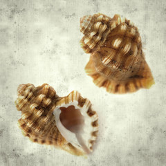  old paper background