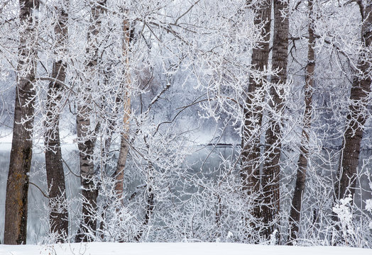 Brumal Images – Browse 258,949 Stock Photos, Vectors, and Video | Adobe ...