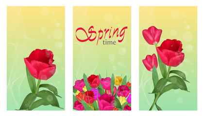 Spring time vertical banners. Tulips on light background bokeh effect. Beautiful spring flowers with water drops. Template for spring holidays. Vector illustration.