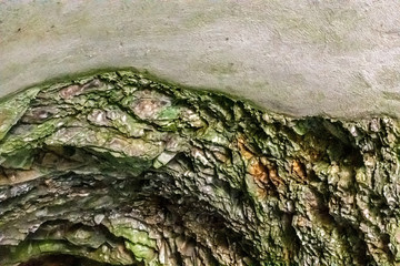 details in the tunnels