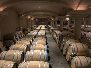 barrels in wine cellar