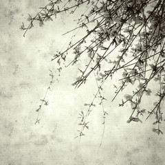  old paper background