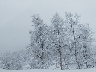 winter 3