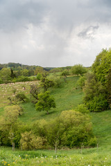 Trekking Tour