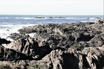 Rocky Shoreline