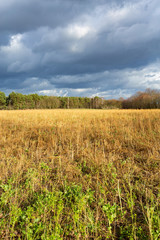 Scenic landscape near Sassenberg in Westphalia, Germany, stormy weather with sunshine in February