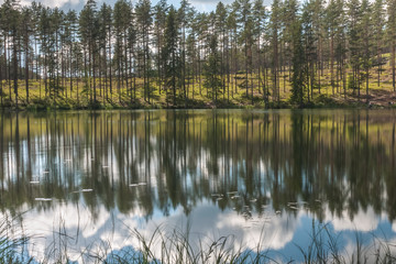 sky and tree reflection in secluded area by the lake. Calm waters and cloudy sky. Sweden. selective focus. long exposure