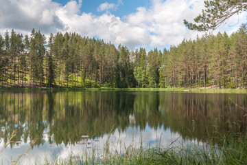 sky and tree reflection in secluded area by the lake. Calm waters and cloudy sky. Sweden. selective focus. long exposure