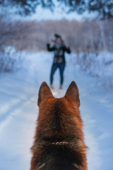 Dog and girl in a winter, cold forest
