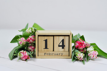February 14 text on wooden block calendar and pink Tulips. Greeting card with pink Tulips .Spring card template. Women's Day. Greeting card for mother's day. Flower card. Copy space. Selective focus