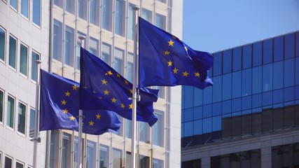 EU flags waving in front of European Union building - Powered by Adobe