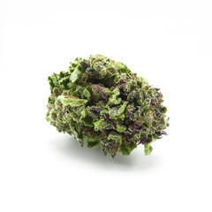 Purple Cannabis Marijuana Nug Bud