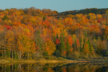 Fototapeta premium Autumn landscape of Forest Lake with mirrored reflections in calm water, Hiawatha National Forest, Michigan's Upper Peninsula, USA