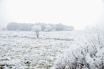 winter season snow field landscape