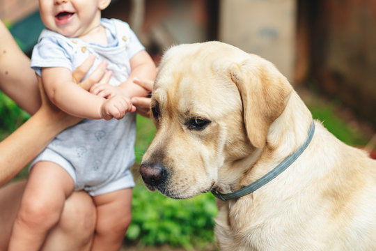 Sad dog sitting next to a mother and baby in the garden, Italy