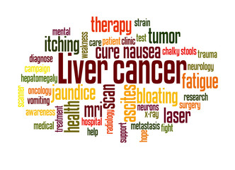 Liver cancer word cloud concept 2