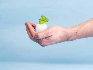 Seedlings of basil in an eggshell, on a blue background, in the hand of a man. Eco-product, sustainable use.
